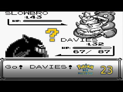 Pokemon Red Randomizer Nuzlocke | LP 01 | Ep 23 | Taking on Koga 11 levels below!!