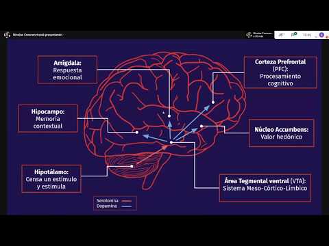 «Cómo los sistemas de recompensas mantienen a los jugadores enganchados en los juegos modernos»