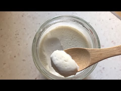 download lagu mp3 mp4 Vegan Probiotic Yogurt, download lagu Vegan Probiotic Yogurt gratis, unduh video klip Vegan Probiotic Yogurt