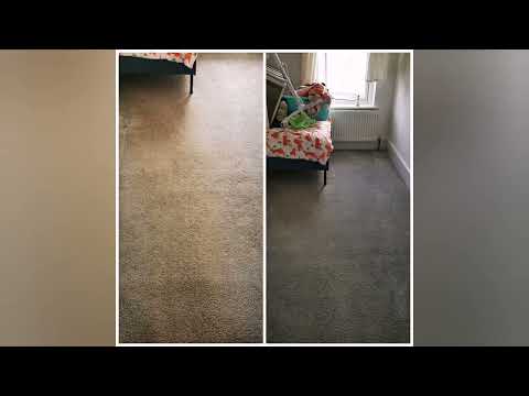 Otter Carpet Cleaning video.