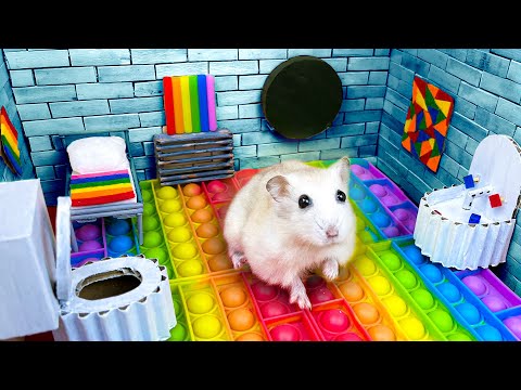 Hamster Sophie #6 🐹 Hamster Escapes the Pop It Maze for Pets in real life