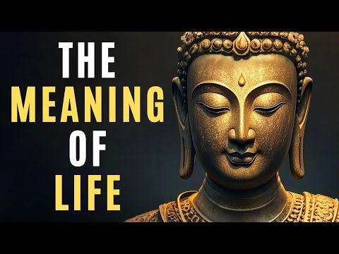 Buddhist Teachings on The Real Meaning of Life