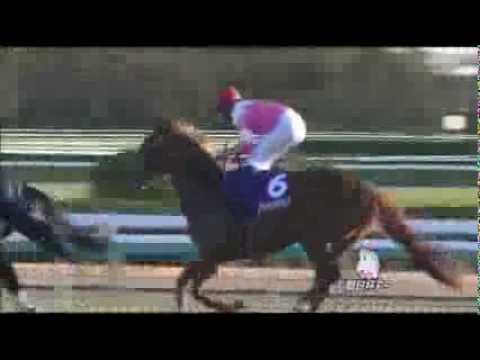 H25 朝日杯 (GI) アジアエクスプレス