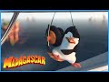 DreamWorks Madagascar Mess With The Bull You Re Gonna Get The Horns Penguins Of Madagascar Clip