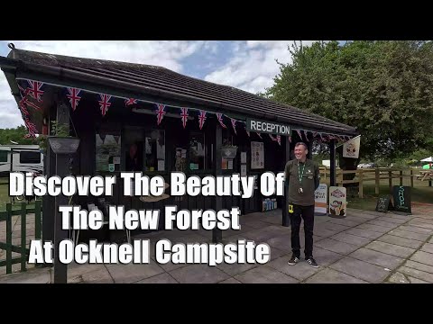 Discover The Beauty Of The New Forest At Ocknell Campsite
