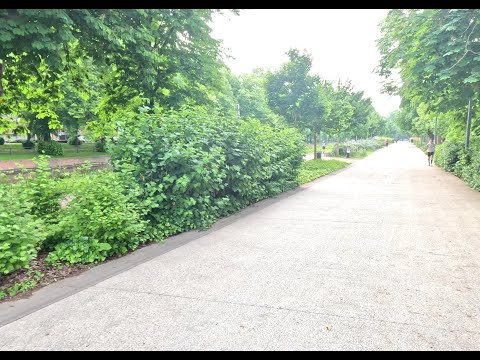La Façade de l Esplanade  à Lille