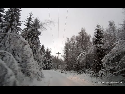 Drum Hunedoara - Cerbăl - Poiana Răchițelii, decembrie 2019