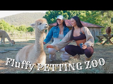 Exploring River Mill: Free Fun & Furry Friends! 🐐