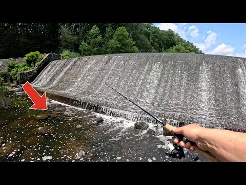 This Waterfall Was Hiding Multiple Rainbow Trout