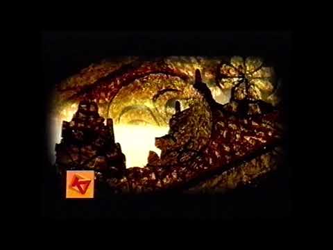 Så formas våra liv (Kunskapskanalen) - Programinformation SVT1 2005-10-09