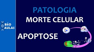 Apoptose - Morte Celular Programada: Ativação e Execução das Caspases (Patologia Geral)