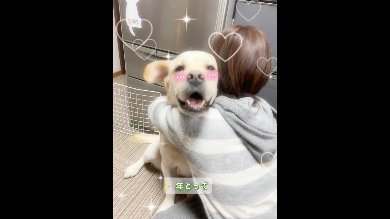 あふれるキモチば歌うとです🎤🐶💕