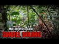 Penampakan Sundel Bolong Di Sore Hari