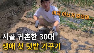 생애 첫 농사짓는 30대 총각이 텃밭 가꾸는 방법. 농사 처음 지어봐도 잘할 수 있을까? [텃밭가꾸기] 텃밭…