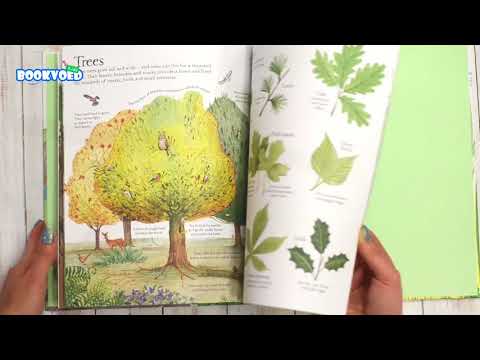 Відео огляд Big Picture Book Outdoors [Usborne]