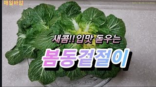 새콤!!아삭♡봄동겉절이~입맛 돋우는데는최고예요~#봄동#봄동겉절이#봄동무침#봄동요리#한국집밥 #한국음식#Koreanfood
