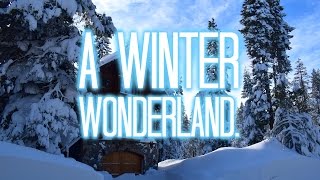 A Winter Wonderland. || Natalia Holmes