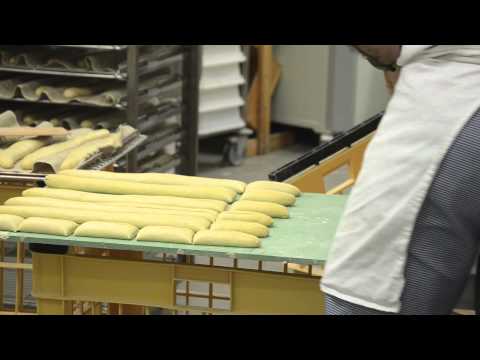 download lagu mp3 mp4 Four Pain Professionnel, download lagu Four Pain Professionnel gratis, unduh video klip Four Pain Professionnel