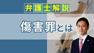 [実況] 傷害罪とは？ 傷害罪の逮捕、時効について解説｜弁護士YouTube教室