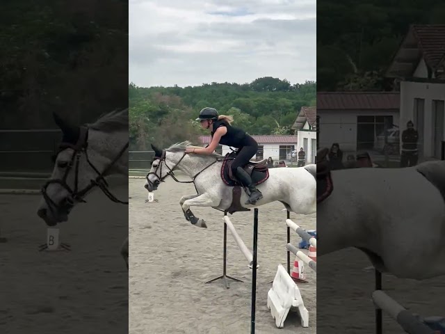 Poney de Sport - &eacute;preuves AS    20 000&euro;