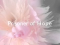 Prisoner of hope 