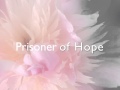 Prisoner of hope 