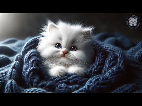 Deeply Peaceful Music For Stressed Cats - Calm Piano & Cat Purring Sounds -Anxiety & Stress Relief