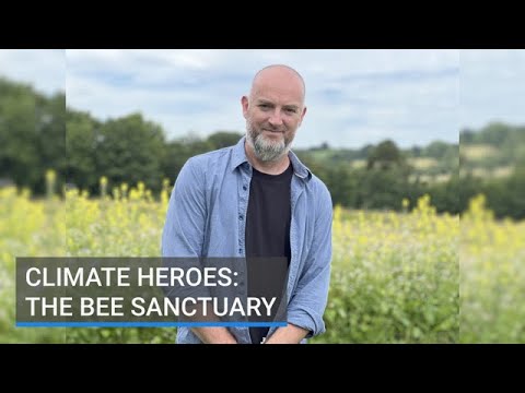 Wildflower seed bomb planting video thumbnail
