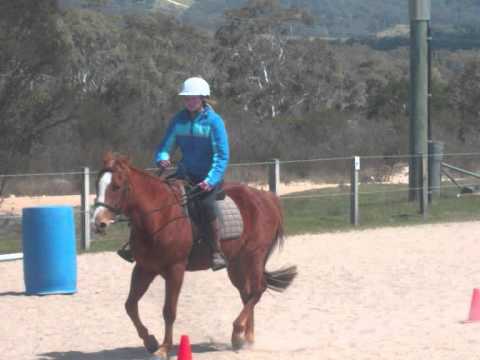 The Saddle Camp
