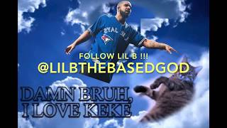 Lil B - Keke Thats My Kitty BASED FREESTYLE ADOPTED CATS SPECIAL