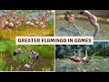 Greater Flamingo Comparison In 4 Games