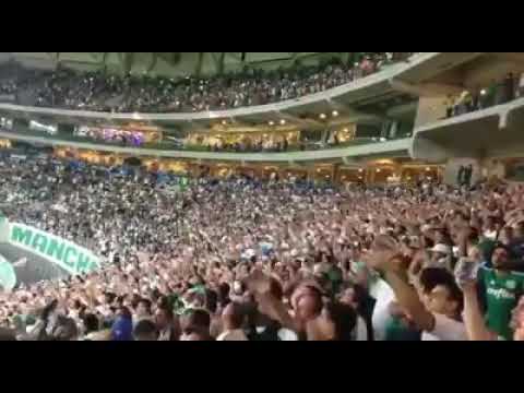 Mancha Verde transformando o allianz parque em um caldeirão