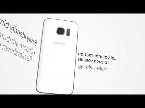 All Birds Guianas, Suriname, G Video