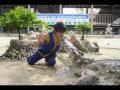 CrocoShow1 Wmv