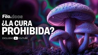 Download lagu 'MAGIC MUSHROOMS': THE SCIENCE BEHIND PSILOCYBIN THERAPY | Filo Docs mp3