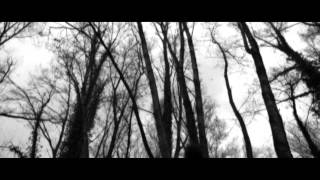The Sade - BLACK DEMON - 2014 (from II album - 2013)