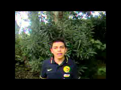 EXAMEN DE PRONUNCIACION CEB 4/1  GRUPO 107