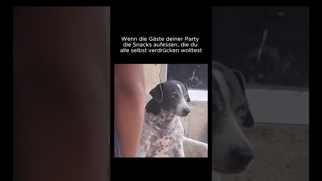 Immer so 😭  #foryou #memes #funny