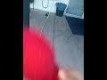 Elmo S World The Bird Song