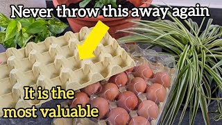 NEVER THROW IT AWAY AGAIN! Egg Cartons Used, THEY ARE A GEM in Your PLANTS
