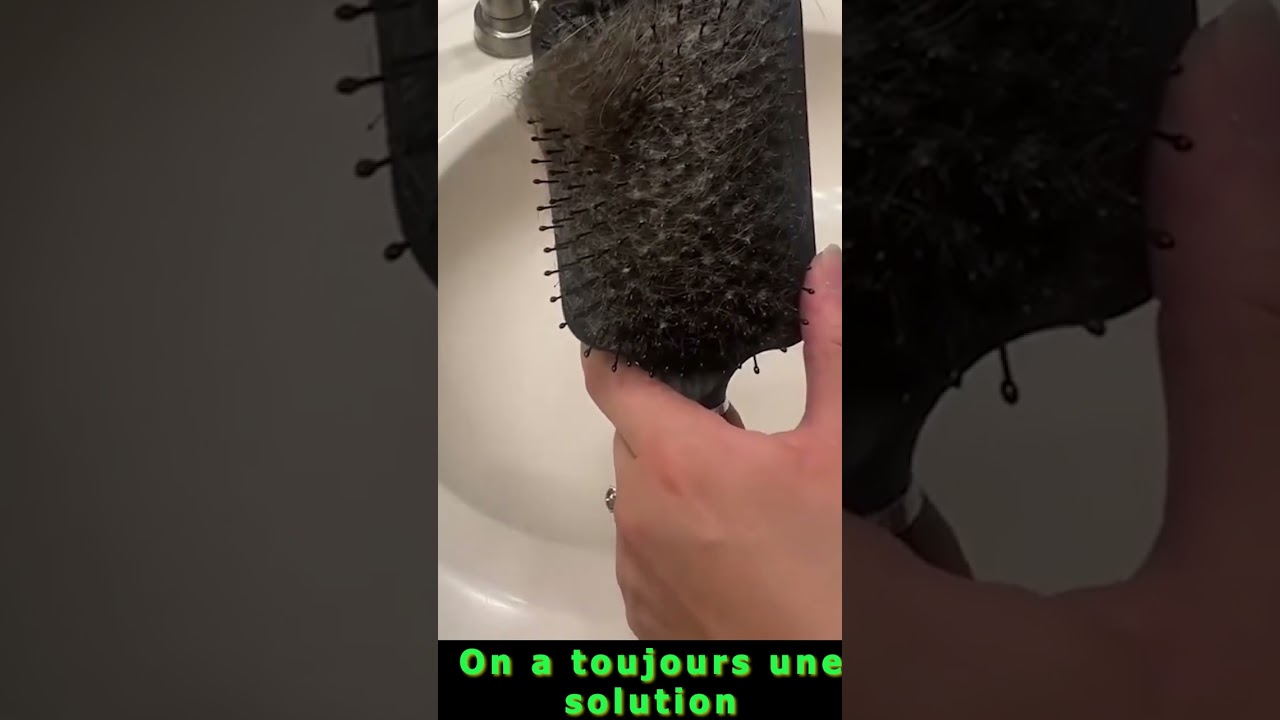 Brosse à cheveux autonettoyante