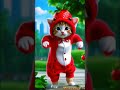 Cat Catdance Cutecate Cat Catlover Kittens Catdance