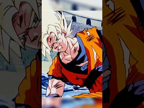 Goku and Pikkon Disqualified After Their Fight