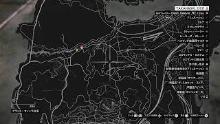 [GTA5]