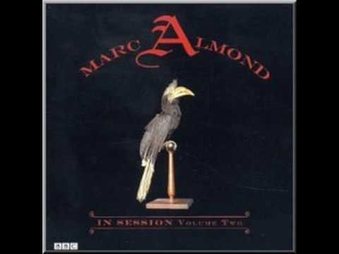Bedsitter / Marc Almond