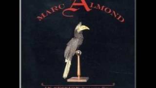 Bedsitter / Marc Almond