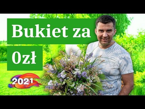 Bukiet polno-łąkowy za 0zł. Zbieram kwiaty koło mojego domu i robię z nich bukiet.