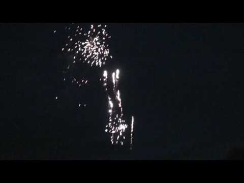 CS3329D 72S  CANDLE SUNGLOW TAIL TO GOLD CHRYSANTHEMUM