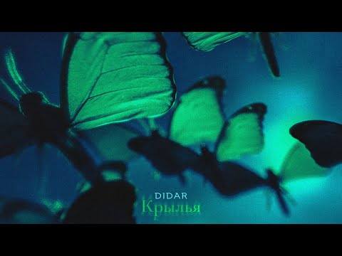 Video thumbnail for Крылья (Wings)