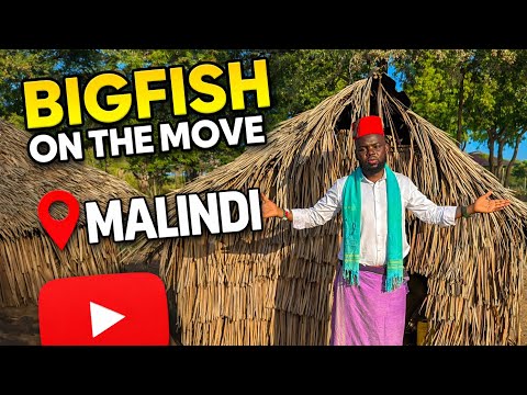 Malindi NICKI BIGFISH irl